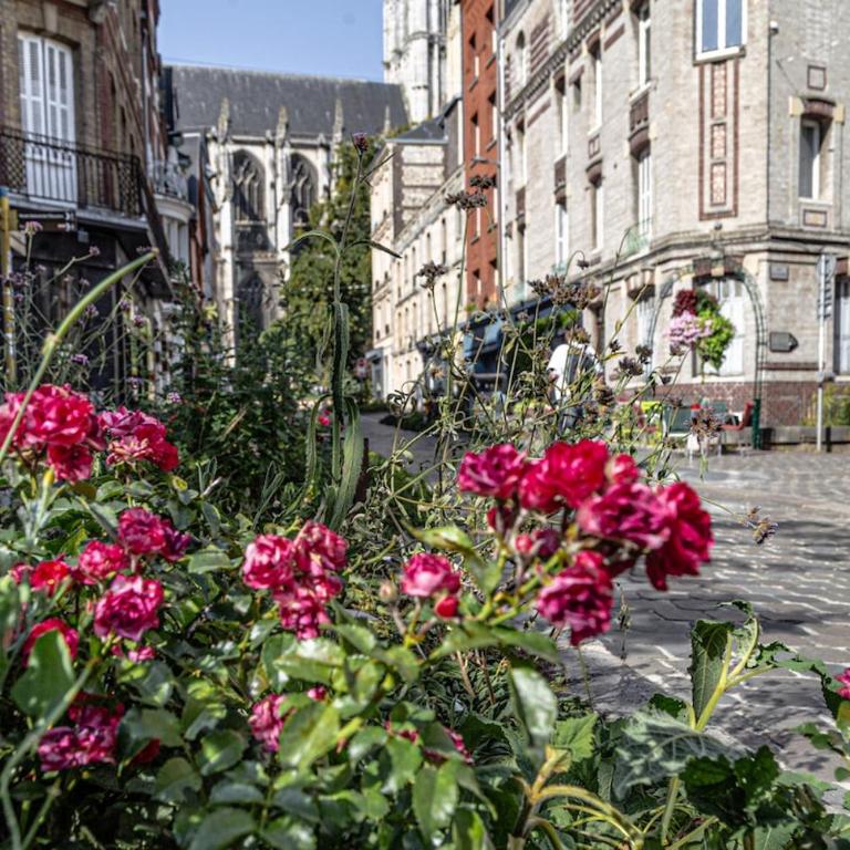 Joli studio design en plein coeur de Rouen - Appartamento con 1 Camera da Letto - 23