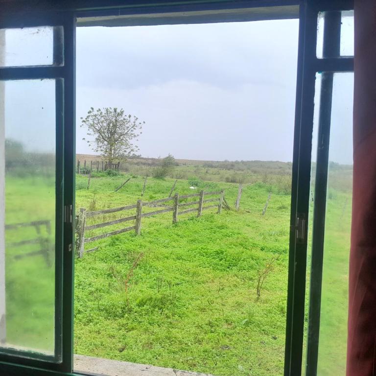 Estancia de lo Alto! - Habitación Compartida Masculina - 4