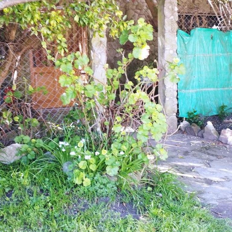 De diez - Apartamento de 1 dormitorio - 7