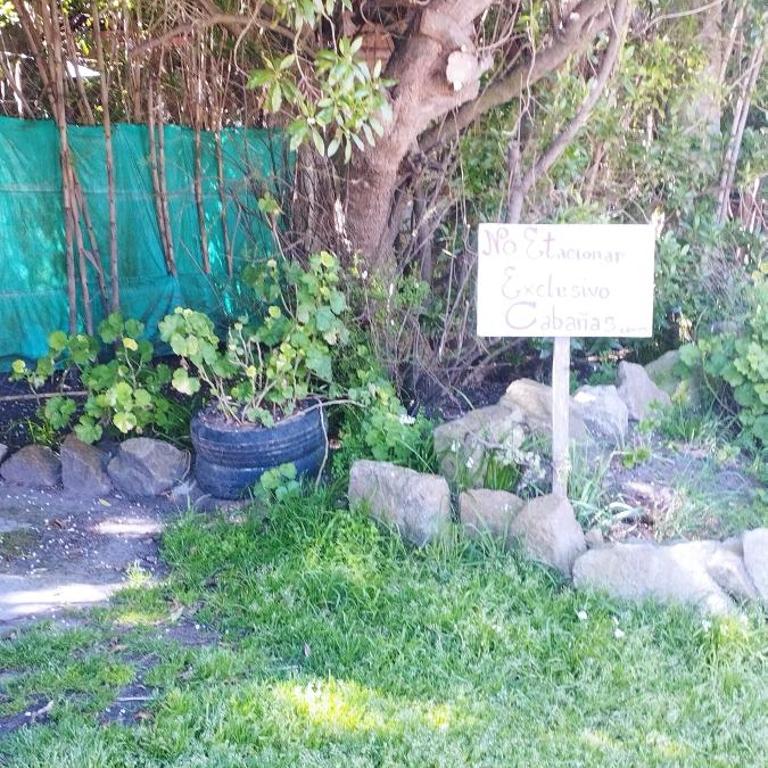 De diez - Apartamento de 1 dormitorio - 11