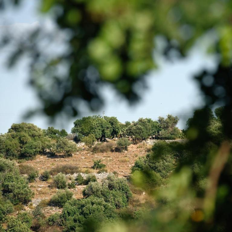 Le dimore di Cavalonga - Three-Bedroom House - 12