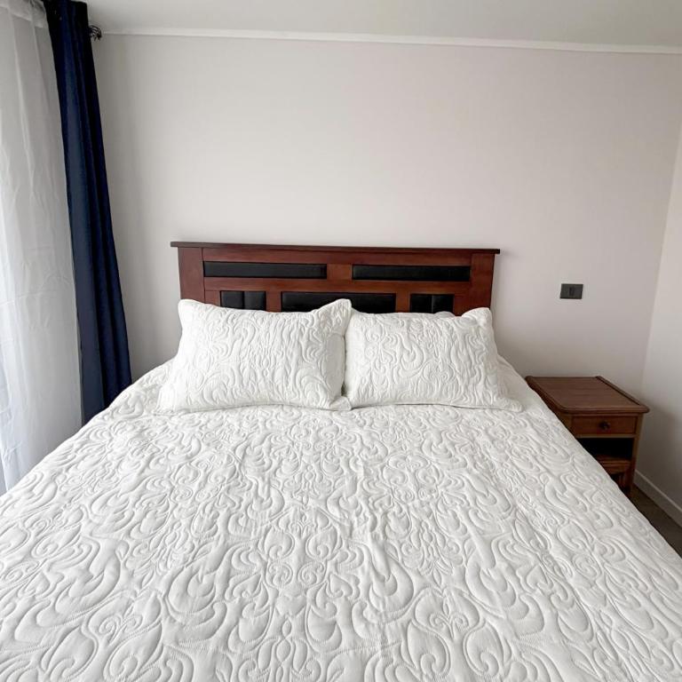 Departamento con Excelente conectividad, Metro Santa ana - Apartamento de 2 dormitorios - 6