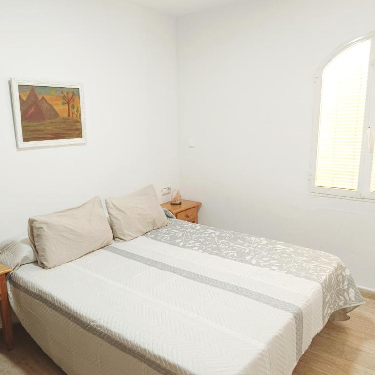 ALQUILER VACACIONAl TORREVIEJA - Casa de 2 dormitorios - 8