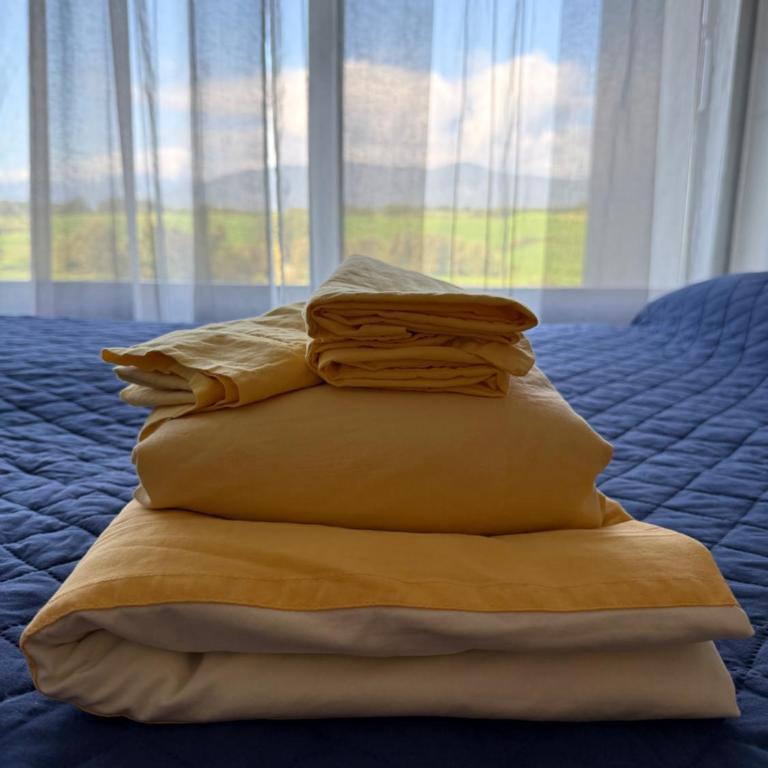 AlpinVista- Le Maddalene - Appartamento con 1 Camera da Letto - 17