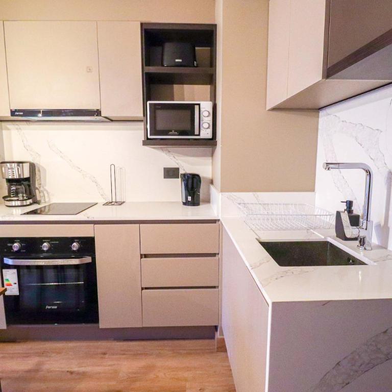 HOM I 1D1B Metro Santa Isabel Sector Providencia - Apartment - 29