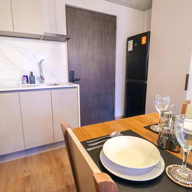 HOM I 1D1B Metro Santa Isabel Sector Providencia - Apartment - 31