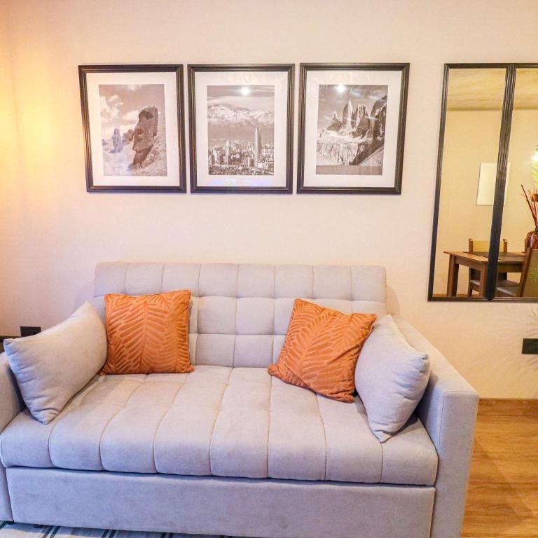 HOM I 1D1B Metro Santa Isabel Sector Providencia - Apartment - 34