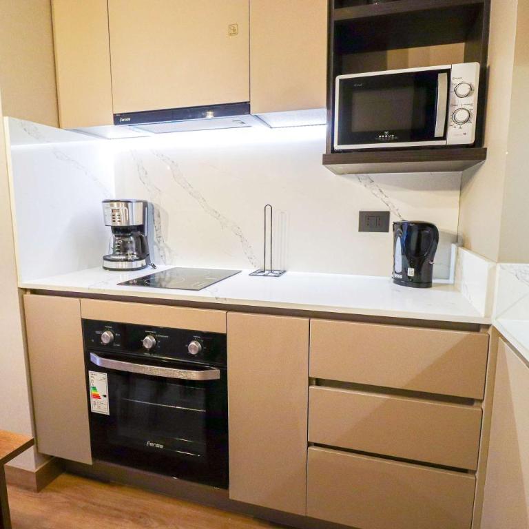 HOM I 1D1B Metro Santa Isabel Sector Providencia - Apartment - 37