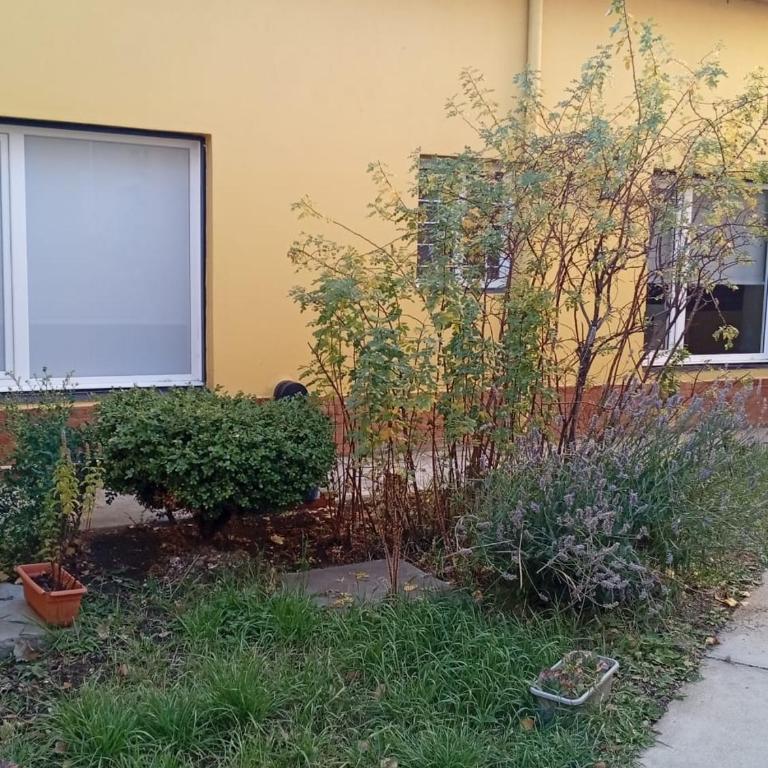 Apart Vital - Apartamento de 1 dormitorio - 6