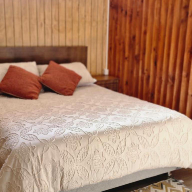 Escápate a Valdivia y descansa en nuestra cabaña - One-Bedroom House - 5