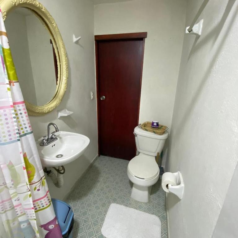 Charming apartment near Los Dinamos and Six Flags - One-Bedroom Apartment - 7