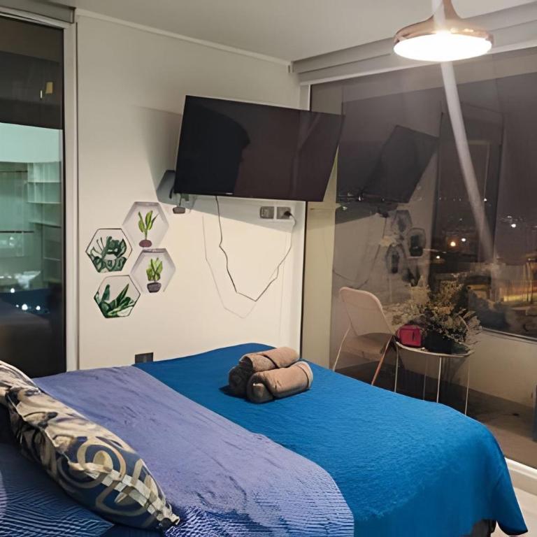 Edificio Stepke - One-Bedroom Apartment with Balcony - 6