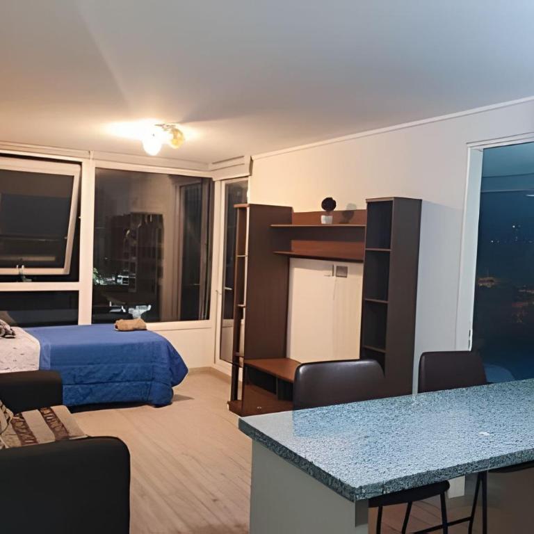 Edificio Stepke - One-Bedroom Apartment with Balcony - 20