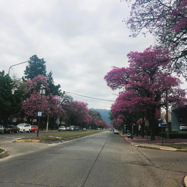 Lamadrid - One-Bedroom Apartment - 12