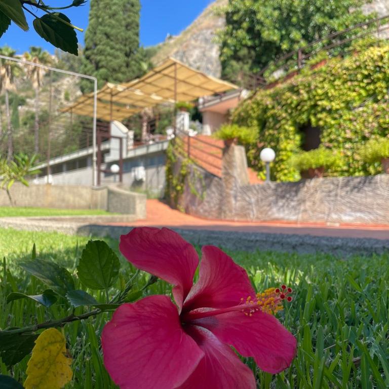 Coco Noir Taormina Apartment - Appartamento - 11