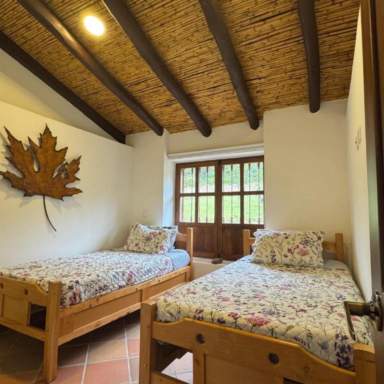 Rivera Campestre - Casa de 5 dormitorios - 24