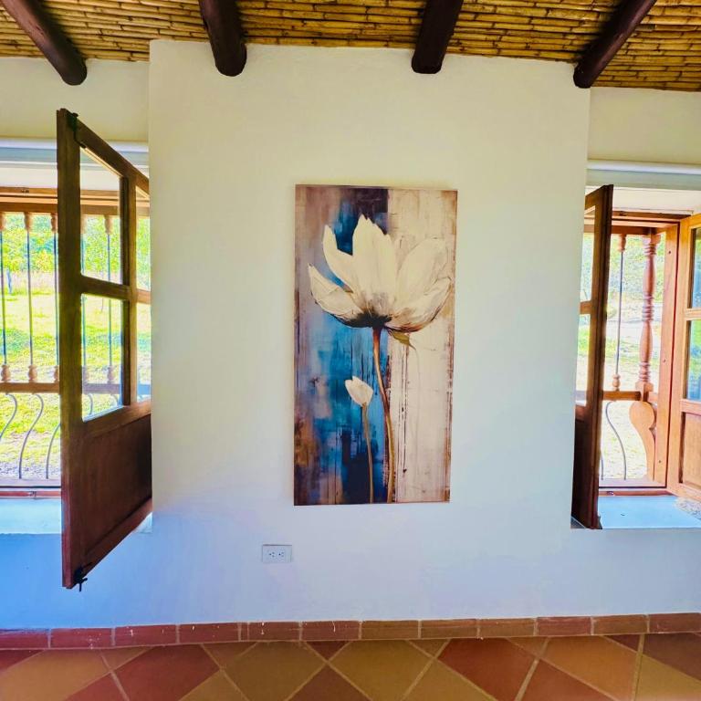Rivera Campestre - Casa de 5 dormitorios - 30