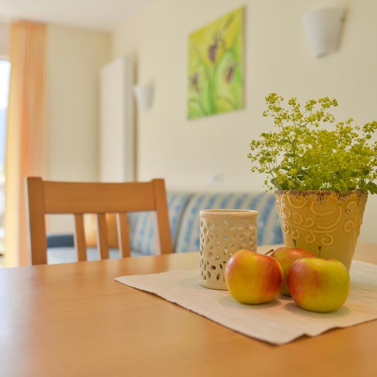 Allegra Wohlfühl Appartements - Appartamento con 1 Camera da Letto - 8