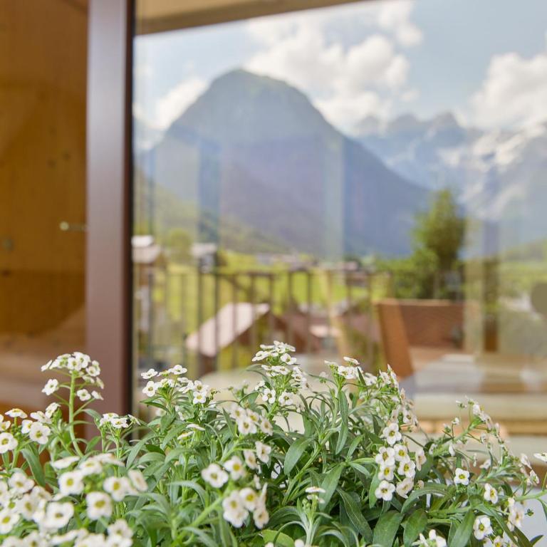 Allegra Wohlfühl Appartements - Appartamento con 1 Camera da Letto - 2
