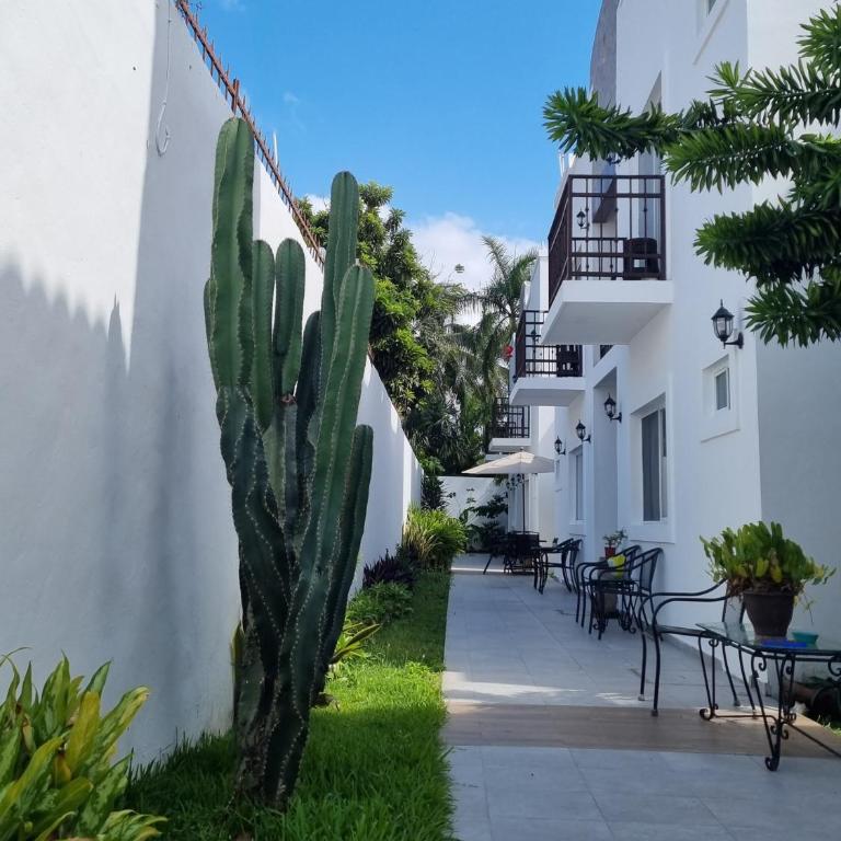 Villa Alebrije Cozumel - Apartamento - Planta baja - 8