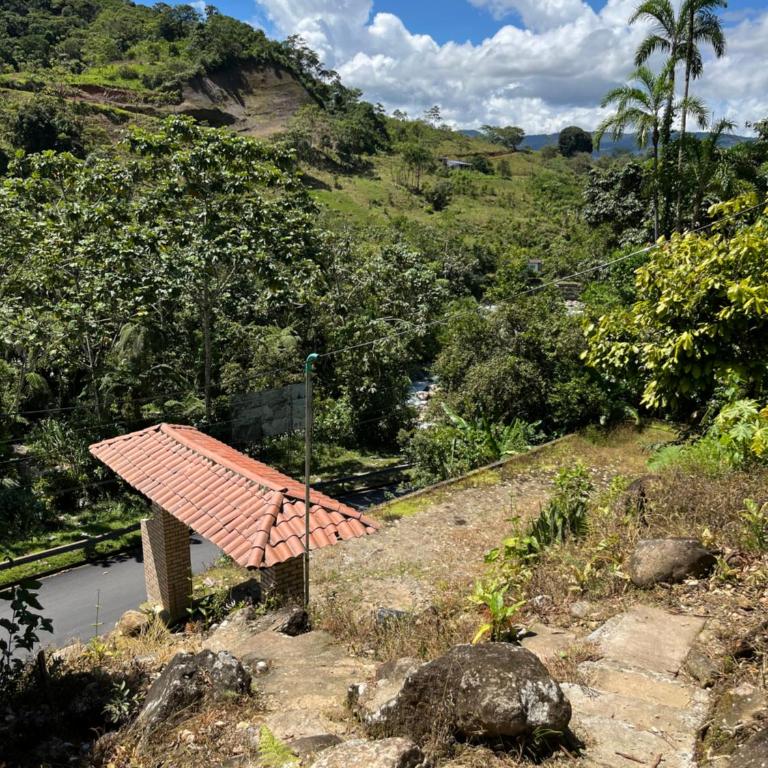 Finca de Majo - Casa - 6