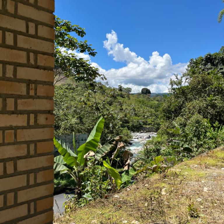 Finca de Majo - Casa - 3