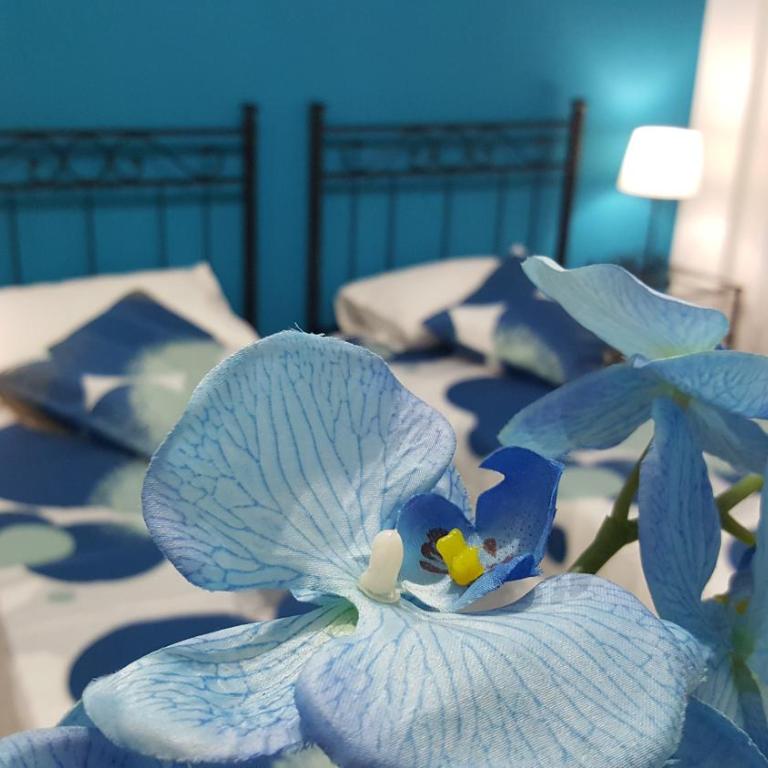 Casa di Angela - Casa con 3 Camere da Letto - 13