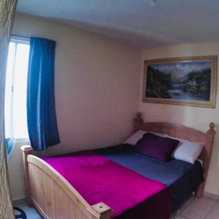dLeon - One-Bedroom Apartment - 43