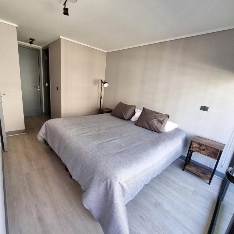 New apartment Santiago downtown, Toesca metro station and Movistar - Apartamento de 1 dormitorio - 18