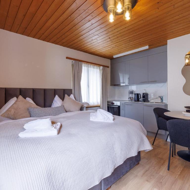 Luxe Davos Studio Central Walk to Lifts - Apartment - 5