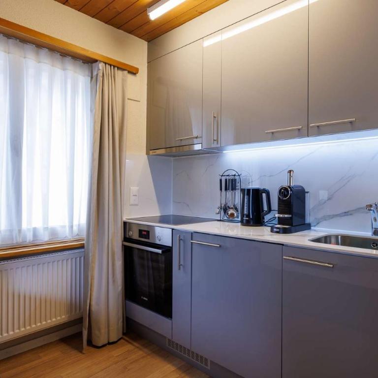 Luxe Davos Studio Central Walk to Lifts - Apartment - 10