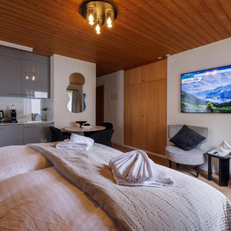 Luxe Davos Studio Central Walk to Lifts - Apartment - 1