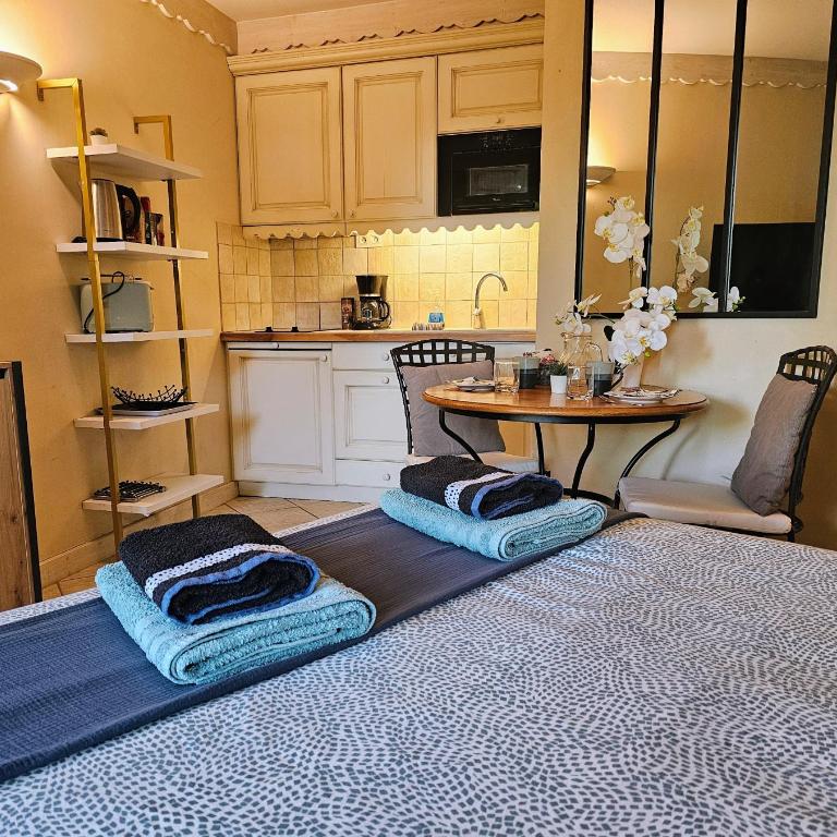 Studio Cosy avec Plage et Parking Privés au bord du Lac D'Annecy - Appartement 1 Chambre - 13