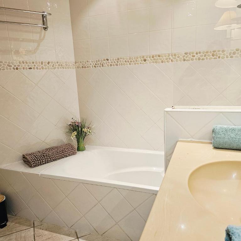 Studio Cosy avec Plage et Parking Privés au bord du Lac D'Annecy - Appartement 1 Chambre - 9