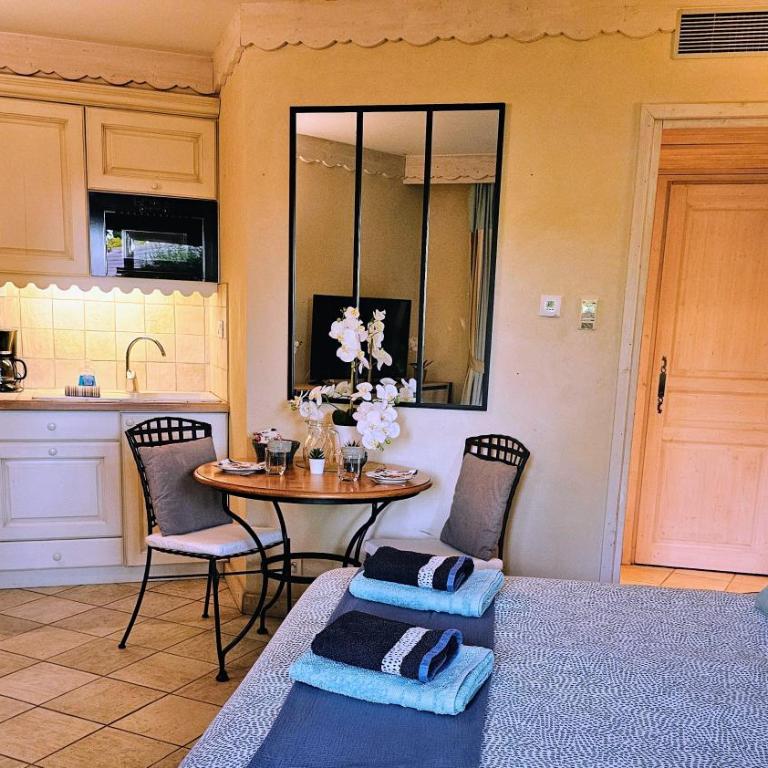 Studio Cosy avec Plage et Parking Privés au bord du Lac D'Annecy - Appartement 1 Chambre - 10