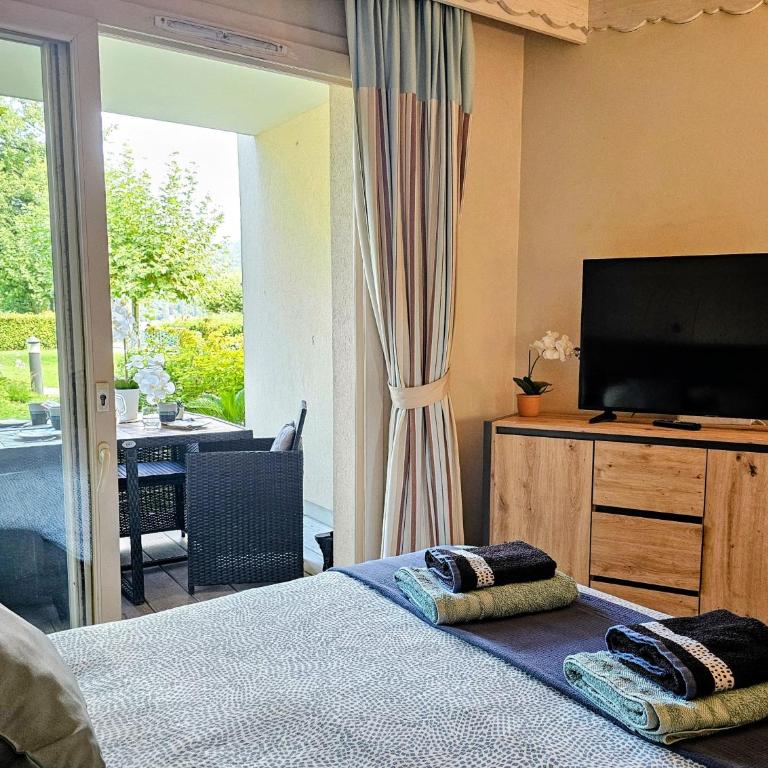 Studio Cosy avec Plage et Parking Privés au bord du Lac D'Annecy - Appartement 1 Chambre - 1