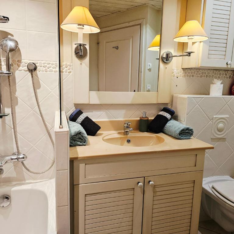 Studio Cosy avec Plage et Parking Privés au bord du Lac D'Annecy - Appartement 1 Chambre - 8