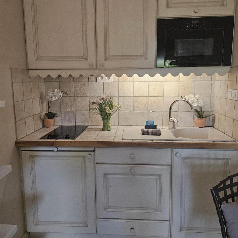 Studio Cosy avec Plage et Parking Privés au bord du Lac D'Annecy - Appartement 1 Chambre - 7