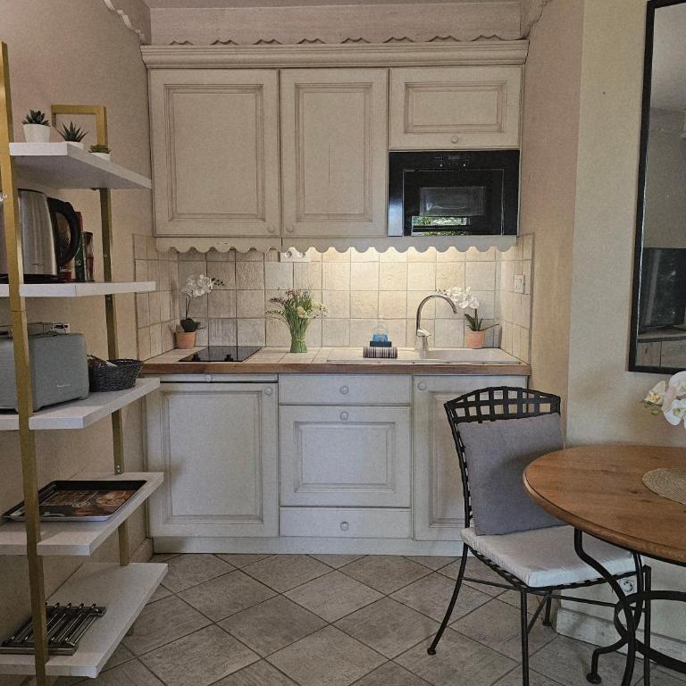 Studio Cosy avec Plage et Parking Privés au bord du Lac D'Annecy - Appartement 1 Chambre - 32