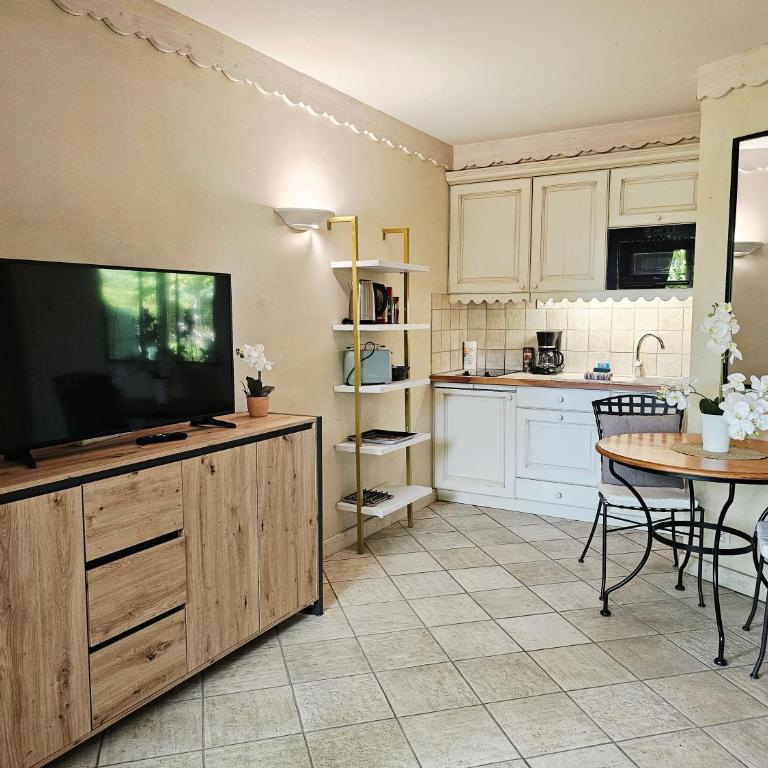 Studio Cosy avec Plage et Parking Privés au bord du Lac D'Annecy - Appartement 1 Chambre - 4