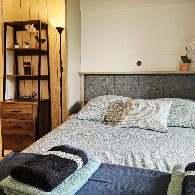 Studio Cosy avec Plage et Parking Privés au bord du Lac D'Annecy - Appartement 1 Chambre - 22