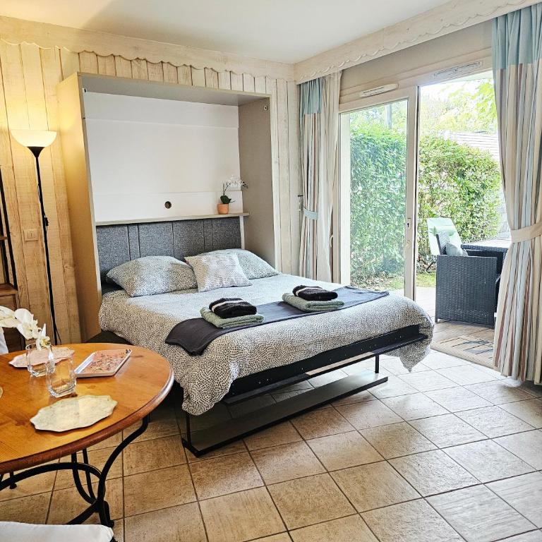 Studio Cosy avec Plage et Parking Privés au bord du Lac D'Annecy - Appartement 1 Chambre - 16
