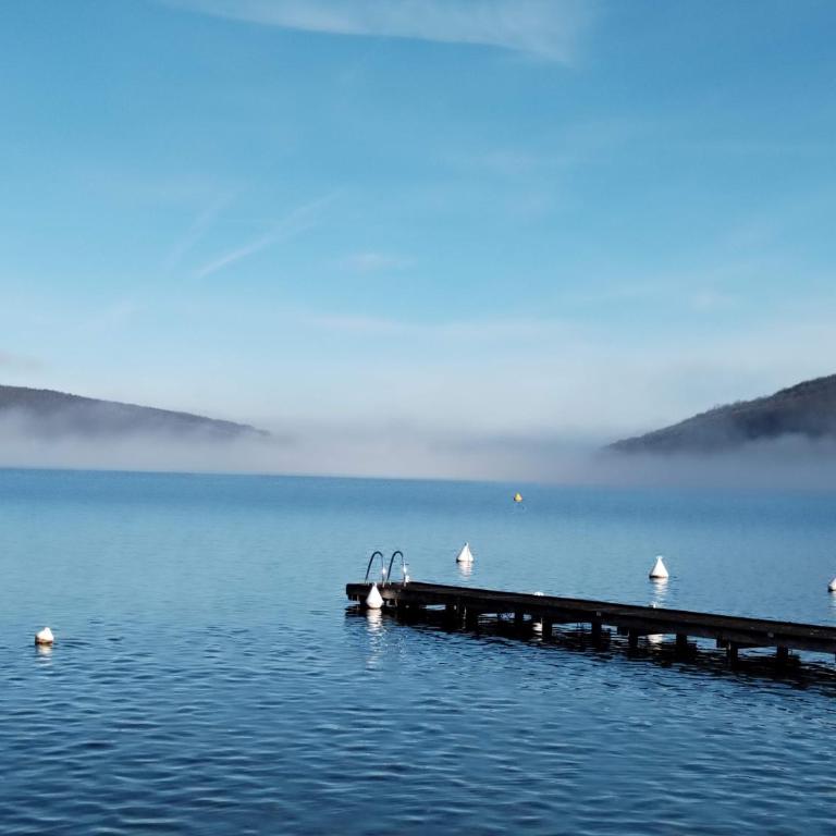 Studio Cosy avec Plage et Parking Privés au bord du Lac D'Annecy - Appartement 1 Chambre - 19