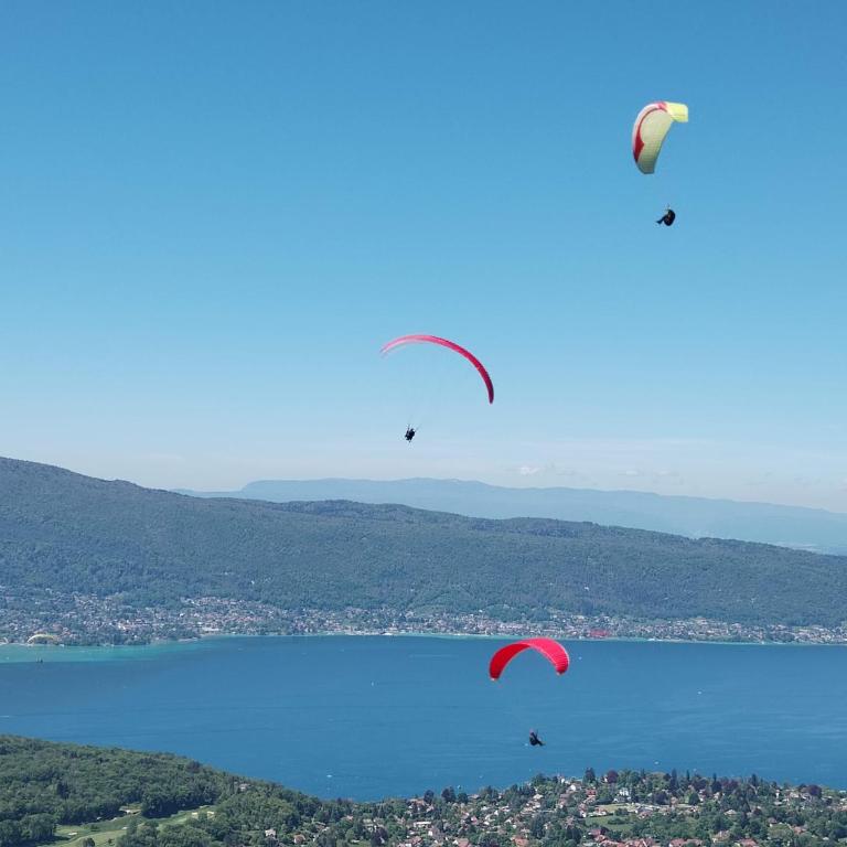Studio Cosy avec Plage et Parking Privés au bord du Lac D'Annecy - Appartement 1 Chambre - 29