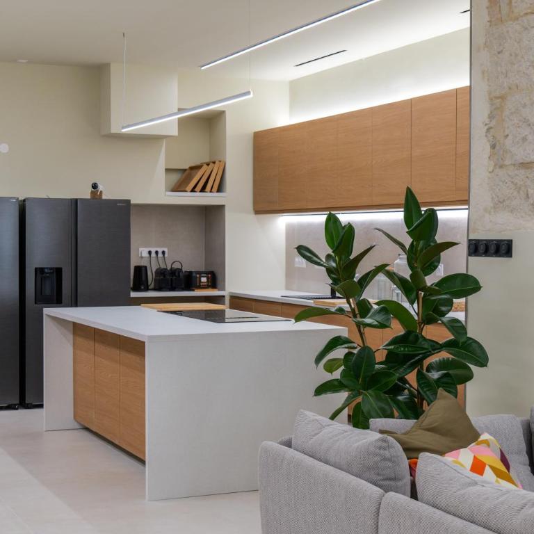 Extra Spacious Modern Apartment HUB Nice Center - Loft - 71