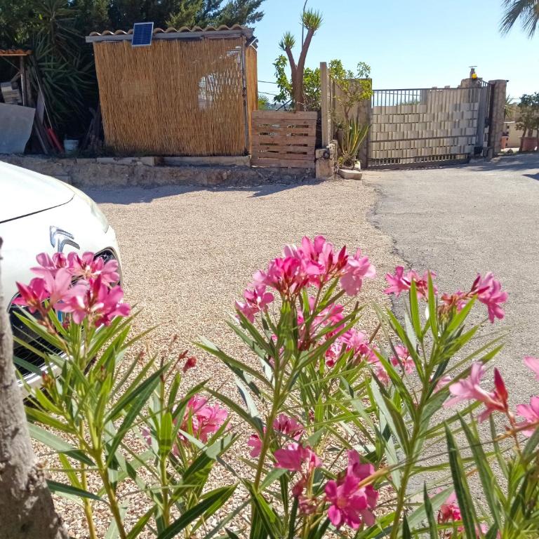 M'arriposu - Double Room - 6