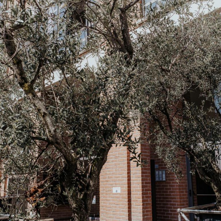 GuestHost - Mecenate Bright Apartment Milan - Appartamento con 1 Camera da Letto - 21