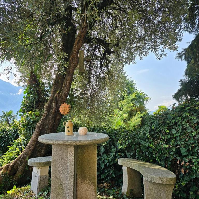 Villa Ida Früh by Holap SA - Appartamento con Vista Lago - 1