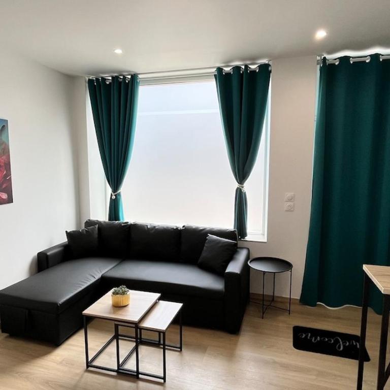 Le 63 Stras' - Proche Gare et Centre-Ville Metz - Appartamento con 1 Camera da Letto - 16