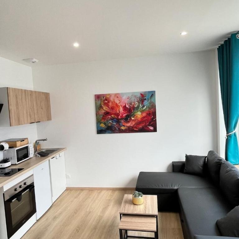 Le 63 Stras' - Proche Gare et Centre-Ville Metz - Appartamento con 1 Camera da Letto - 17
